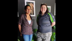 National Reptile Zoo in Kilkenny launches nature gallery 