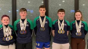 Kilkenny handballers claim  success overseas