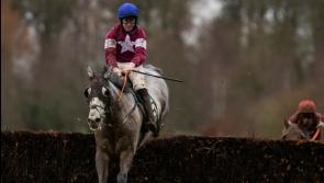 Top class entry for this weeks Thyestes Chase at Gowran Park