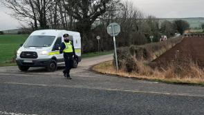 Garda search under way in Kilkenny after teenage girl attacked