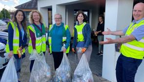 Kilkenny urged to put best foot forward in Tidy Towns