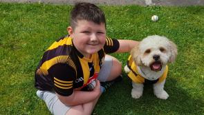 GALLERY #3: Your Kilkenny supporter pics!