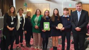 Kilkenny school crowned as a regional winner at Green-Schools Awards