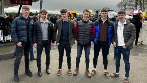 PICTURES: Style and smiles at Goffs Thyestes Day in Gowran, Kilkenny (2024)
