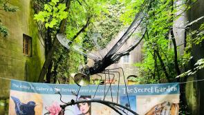 Frank Hallinan Flood Dragonfly sculpture sells at the Secret Garden Exhibition
