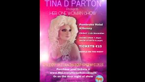 Drag cabaret in Kilkenny for animal rescue  'out the door' with abandoned dogs 