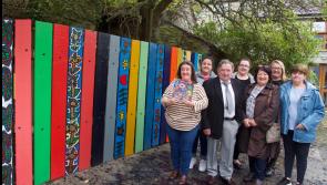 Artist transforms fence at Kilkenny's KCAT Centre into a work of art 