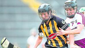 Camogie Preview- Malone return to boost Cats