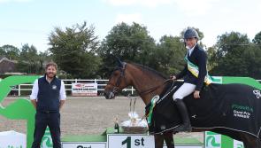 Plenty of Kilkenny success at Irish Breeders Classic in Gorey