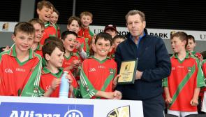 PICTURES: Cumann na mBunscol U11 and Roinn D finalists and winners - see pics!