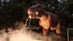Ghouls and goblins to join dinosaurs for Halloween fun at Kilkenny theme park - see pics!