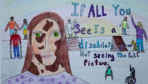 This Kilkenny national school is senior county winner of Someone Like Me national art competition