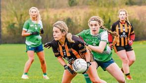 Kilkenny take first step on their return to national stage