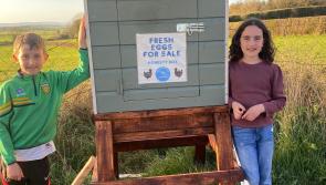 Charitable children near Kilkenny border reopen Egg Honesty Box