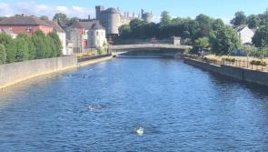 Dive in! Marble City Mile returns to Kilkenny this weekend 