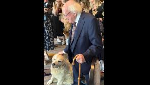 President Higgins visits Kilkenny, meets Rudy the Golden Retriever