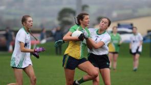 Leinster Final proves a step too far for gallant Muckalee