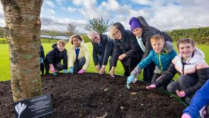 Kilkenny schools urged to get involved in Holocaust commemorative project