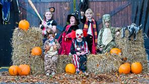 Halloween fun for all the family at spooky Kilkenny theme park - see pics!