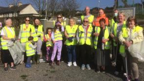 PICTURES: Successful spring clean completed in sunny South Kilkenny 