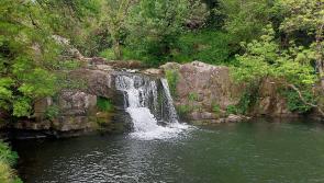 New visitor carpark and walking trail opens at scenic Kilkenny waterfall
