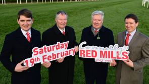 Connolly's Red Mills  to offer free admission at Gowran Park raceday next month