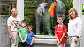 Elephant in window of Kilkenny shop is ready to attend James Bond night with Brent Pope