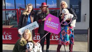 Free dog-friendly day of fun activities at Savour Kilkenny