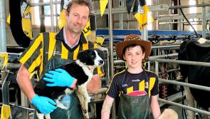 GALLERY #1: Your Kilkenny supporter pics!