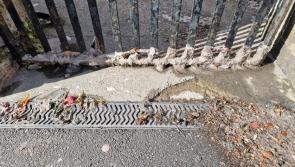 Kilkenny residents reduced to 'sweeping raw sewage out of gardens' due to flooding 
