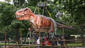 SNEAK PEEK: A real-life Jurassic Park is opening soon in Kilkenny - are you ready?