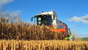 Tirlán FarmLife puts out a call for gluten-free oat crops in Kilkenny 