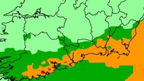 Blight warning issued for Kilkenny 