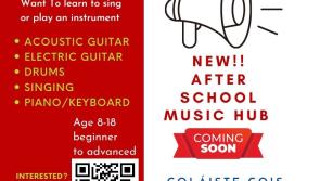 Music Generation Kilkenny set to launch new after-school music hub in south Kilkenny