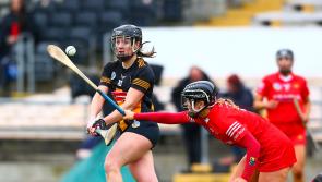 Cork prove  too strong for Kilkenny in Very Camogie League 