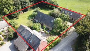 Three detached properties going to auction as single lot in Kilkenny - click for more!