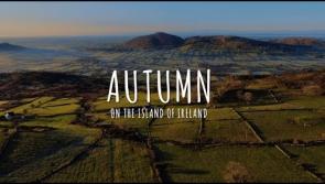 Savour Kilkenny and a leafy castle feature in new Tourism Ireland video