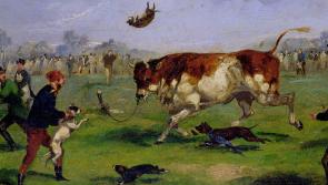 Ever hear of bull-baiting? It was popular in Kilkenny for centuries
