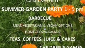Summer Garden Party in Callan's Westcourt Walled Garden