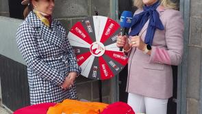 WATCH: The heart of the action in the stable yard at Punchestown