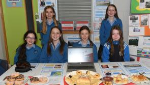 Pictures: Two Callan schools celebrate Europe Day as embassy member visits