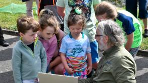 Pictures: Audience enthralled by Inistioge's eels as local water heritage celebrated