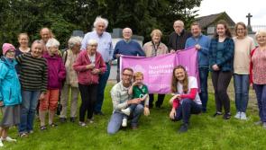 Kilkenny project highlighted in new booklet celebrating 25 years of Heritage Officer work