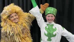 Talented Kilkenny stage school pals star in Late Late Toy Show 