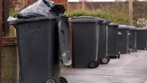 Kilkenny Households throw away one third of their food