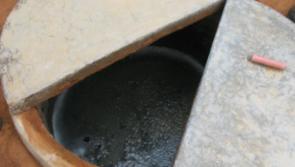 67% of septic tanks tested in Kilkenny failed inspection in 2019