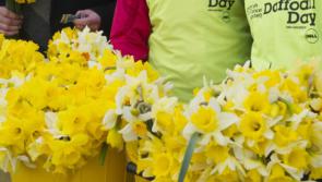 Daffodil Day raises incredible €6m for vital cancer services and research