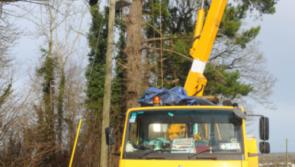 BREAKING - Homes in Kilkenny city, Paulstown, Ballyfoyle and Knocktopher without power -  Trees down