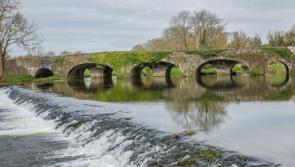 Tidy Towns results: Stalwarts Kells, Inistioge and Gowran are on another level
