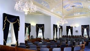 Kilkenny Senators bring new legislation to strengthen protections for domestic violence survivors

